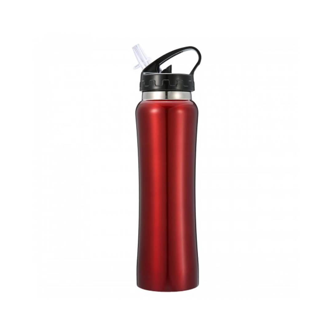 Insulated Stainless Steel Sports Water Bottle 600 ml